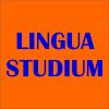 Linguastudium - английский язык для школьников
