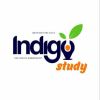 Indigo - Образовательный центр